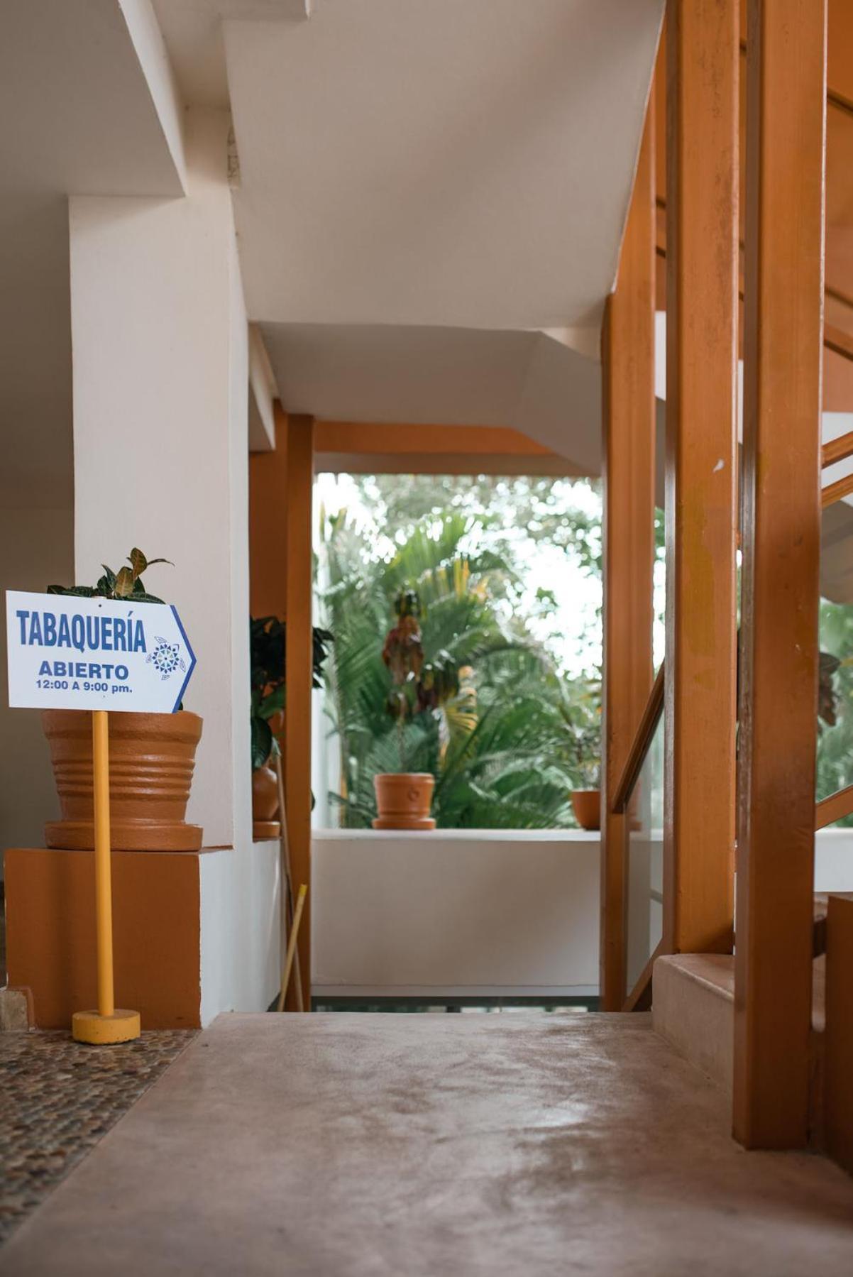 Hotel Ixzi Plus Ixtapa  Extérieur photo