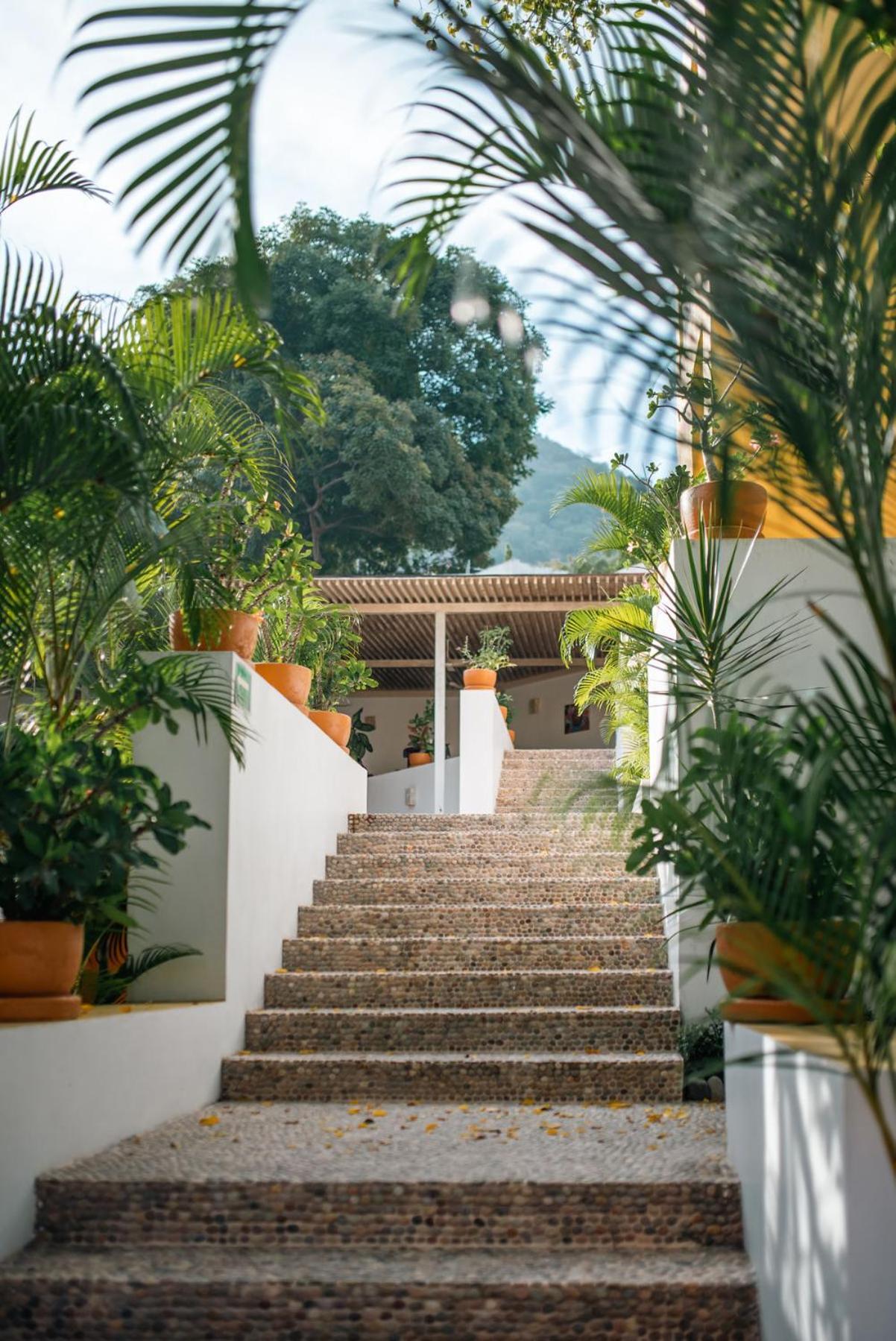 Hotel Ixzi Plus Ixtapa  Extérieur photo